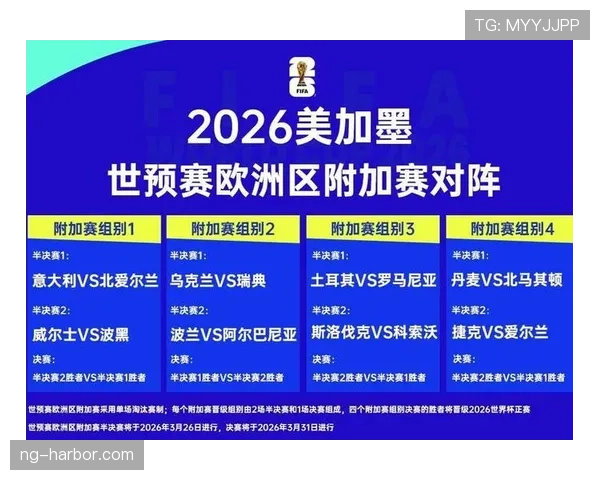 波黑冲击2026世界杯:晋级前景与阵容分析 波黑冲击2026世界杯:晋级前景与阵容分析